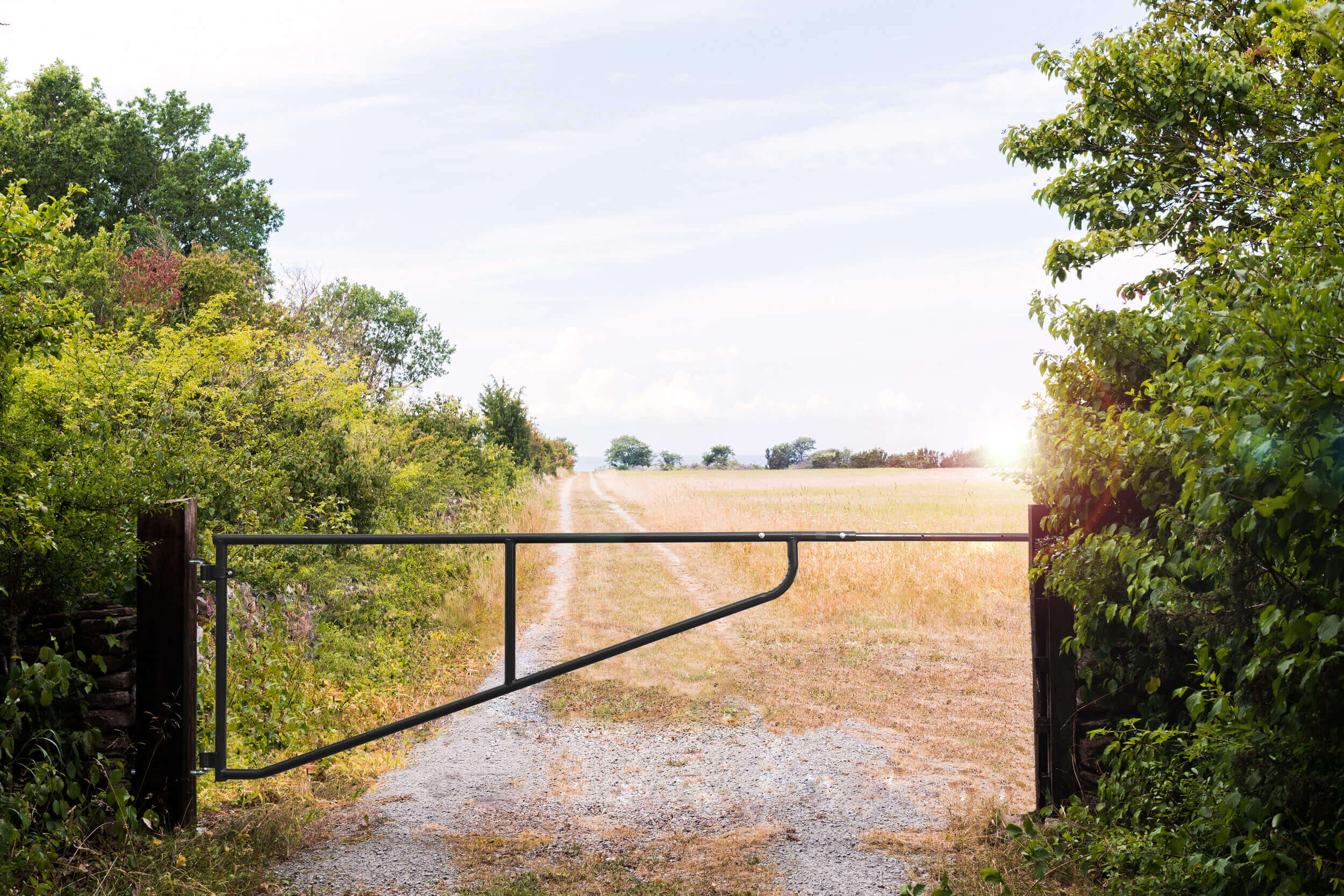 Access Gates